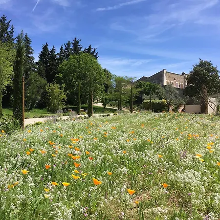 Domaine Les Martins - Gordes-2