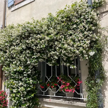 La Maison du Bonheur-2