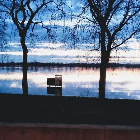 Hotel Mercure Macon Bord De Saone-3