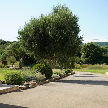 Stella Marina-3