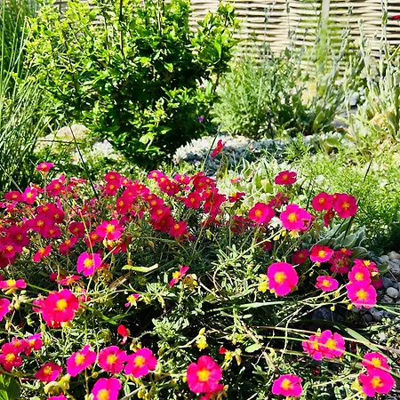 La Cabine côté mer et côté jardin à la VILLA PLEIN VENT-2