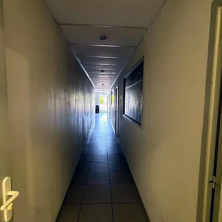 Zf Immersion-2
