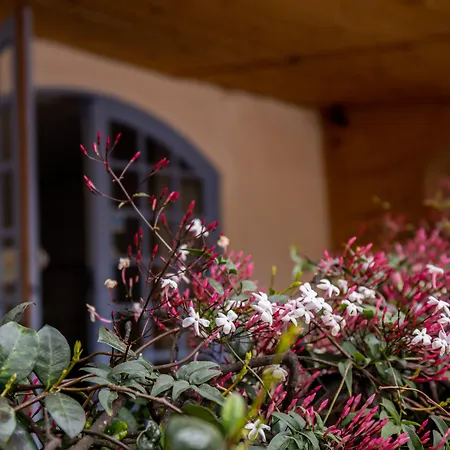 Auberge Sainte Marguerite-2