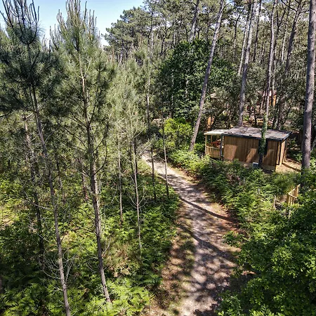 Green Resort-2