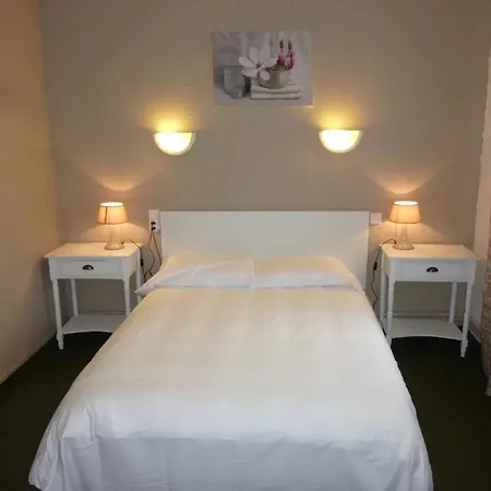 Hotel Les Glycines-3