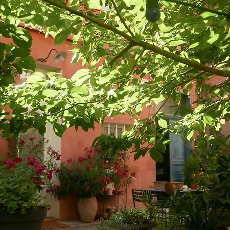 Jardin Vieux Port Panier-3