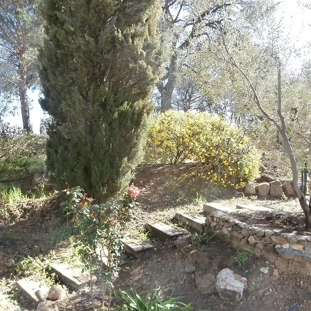 La Maison des Oliviers-2
