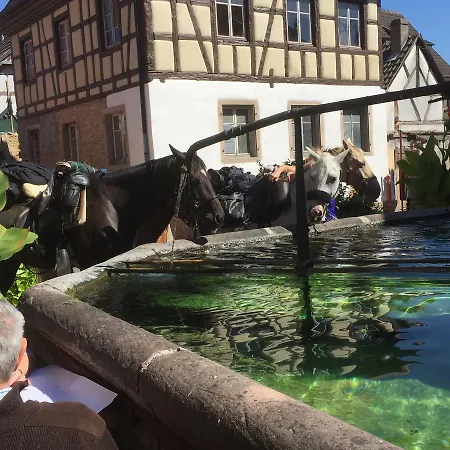 Auberge du Rempart-3