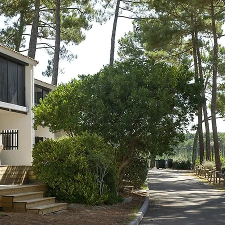 La Jaougue Soule-2
