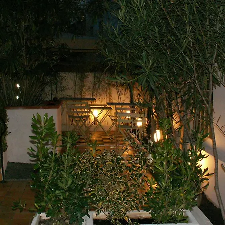 Hotel Alize-2