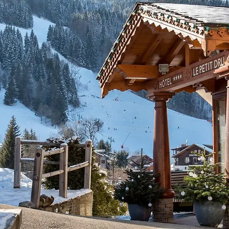 Hotel le Petit Dru-2
