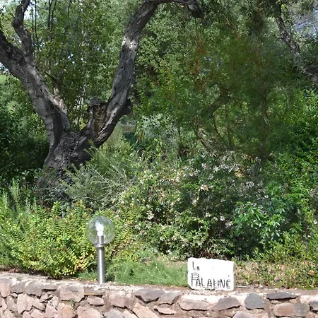 B&B La Palatine-2