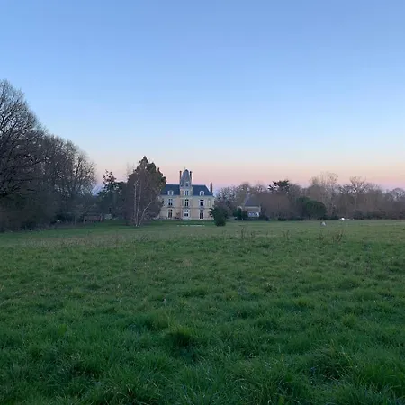 Château Le Breil-2