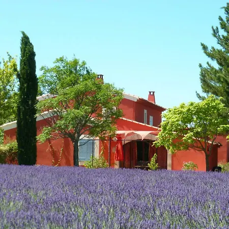 Luberon&Lavandes-3