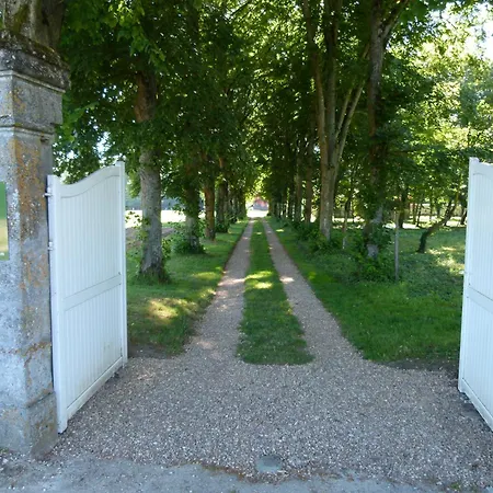 Le Grand Saint-Marc-2