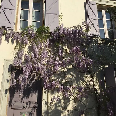 Lilas-Rose-2