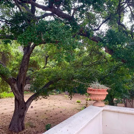 Historic Mansion In Montecito-2