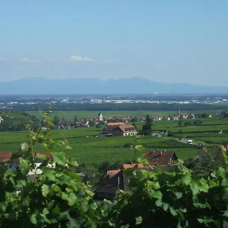 Hostel - Le Mittel-3