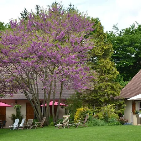 Le Clos Fleuri-2