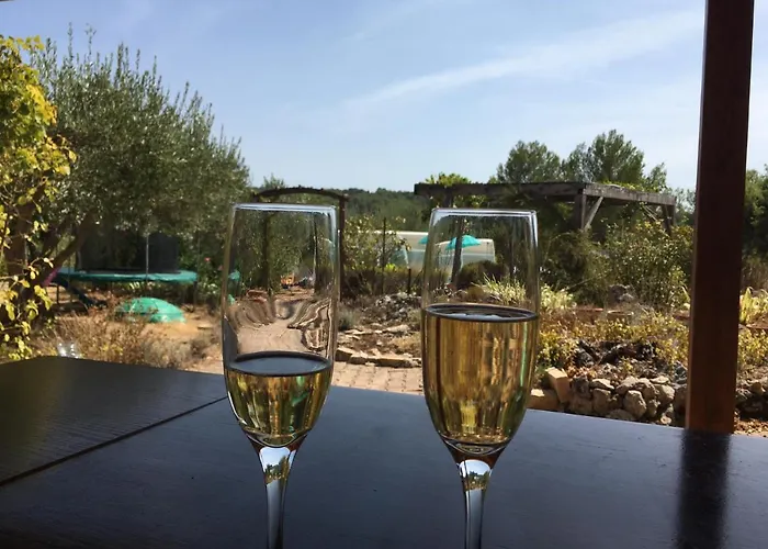 Le Petit Paradis - La Provencale Lorgues