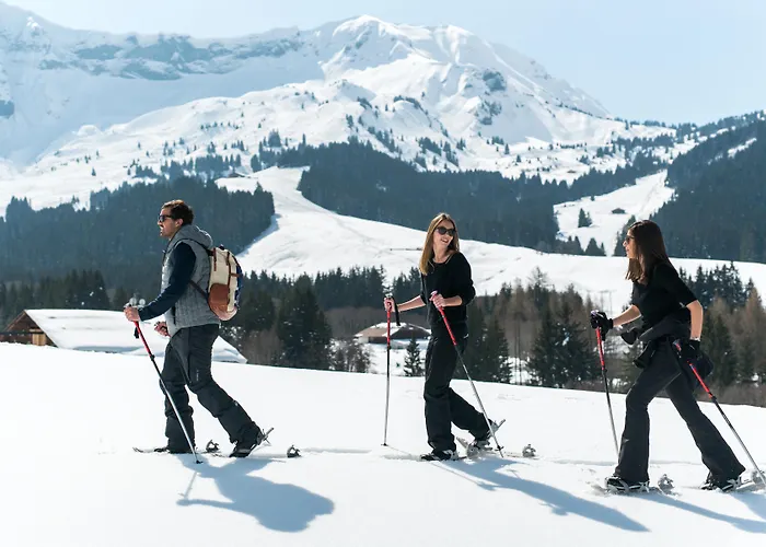 Hotel L'Arboisie Megève