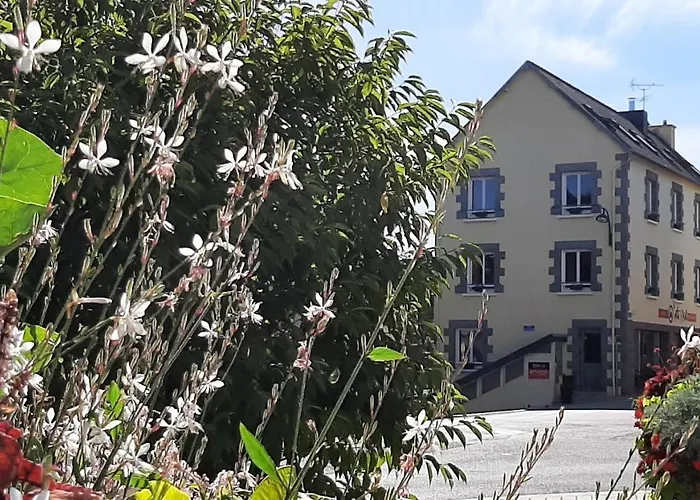 Treve Hotels
