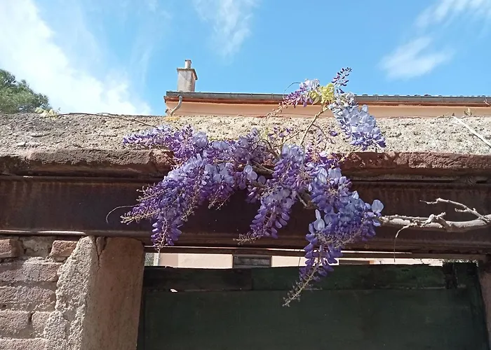Le Mas Palegry Chambres D'Hotes Perpignan Suite Aux Oiseaux