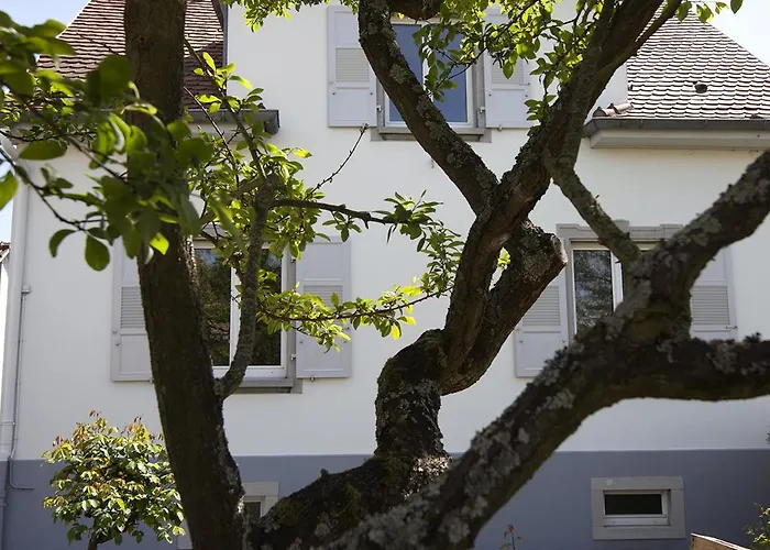 Ravissant 3P 90m2 au calme, proche du parlement européen Strasburgo