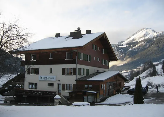 Esprit Montagne Hotel Abondance