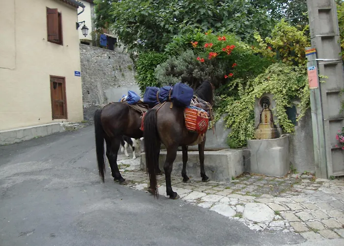 Hôtels à Axat
