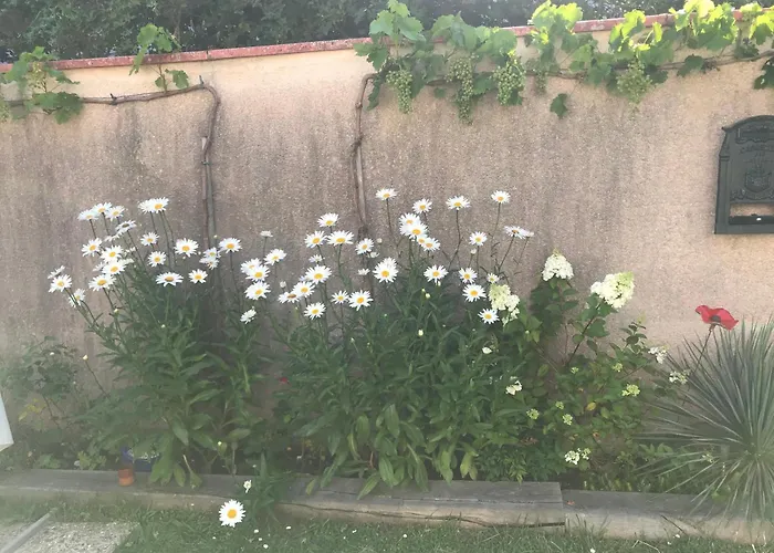 Bed and Breakfast La Croix Blanche Dax