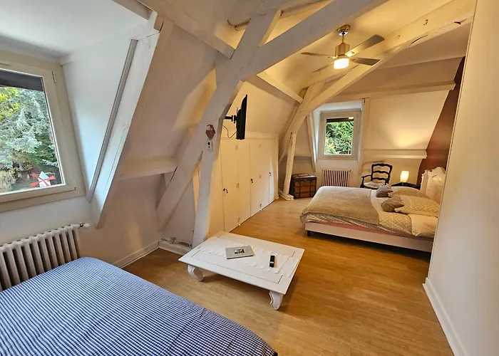 La Demeure Aux Pins Bed & Breakfast Lourdes