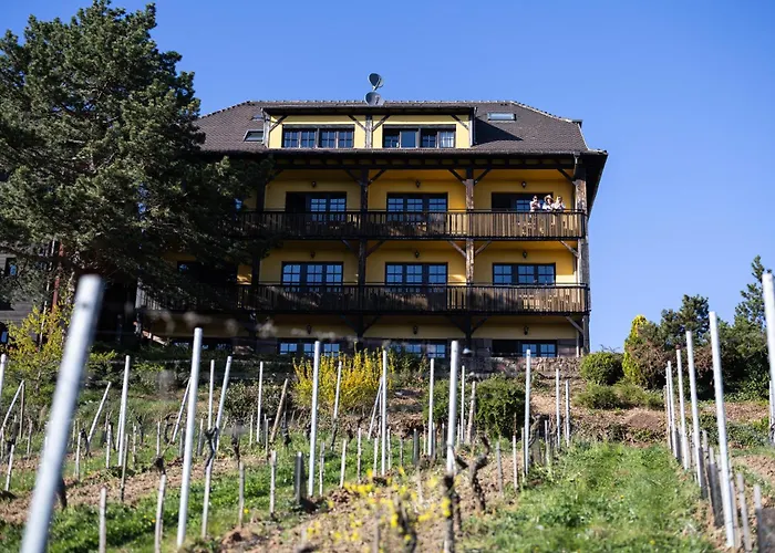 Hôtel Arnold Itterswiller