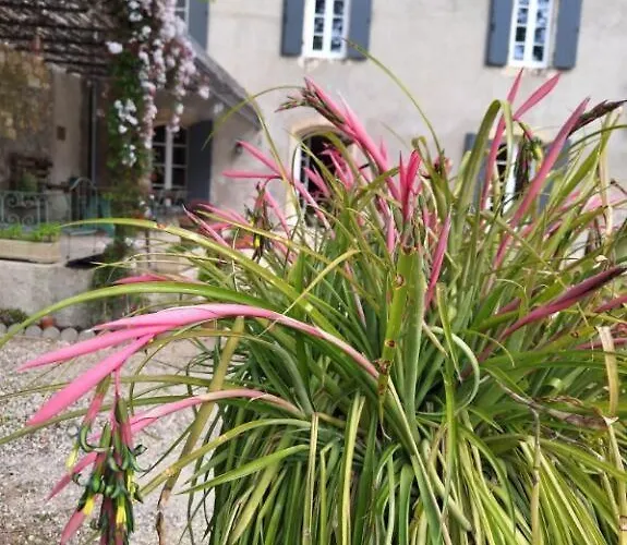 Bed and Breakfast Domaine De Capoulade Narbonne