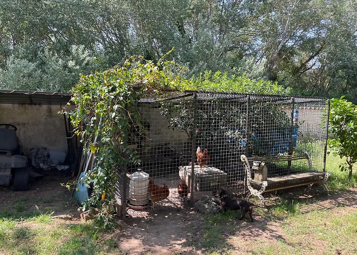 Bed and Breakfast Le Chêne Et L'Eau à Roquebrune-sur Argens