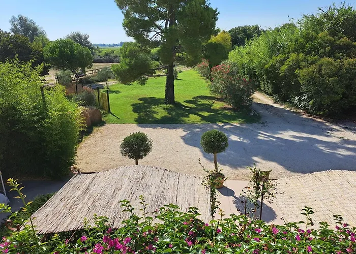 Maison Tara verte au Mas Montredon Arlés