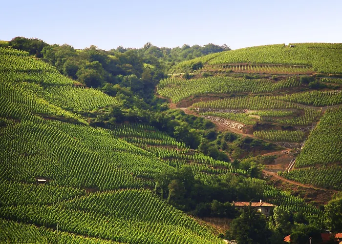 ibis budget Pouilly-en-Auxois