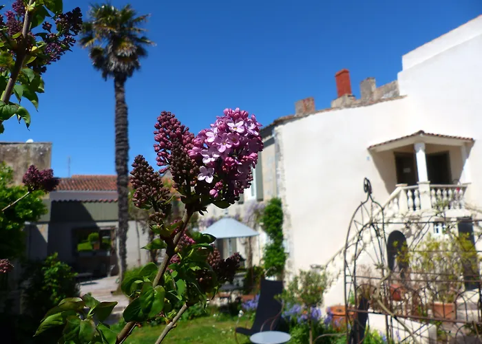 La Maison Douce Saint-Martin-de-Ré