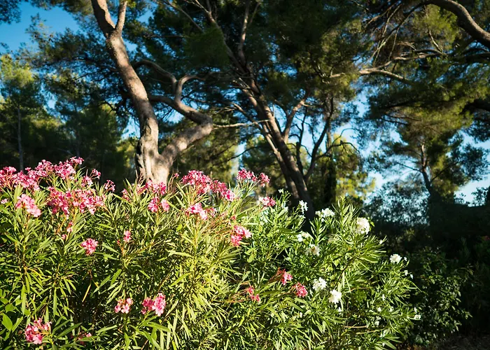 Bed and Breakfast Domaine De Saint Clair Aix-en-Provence