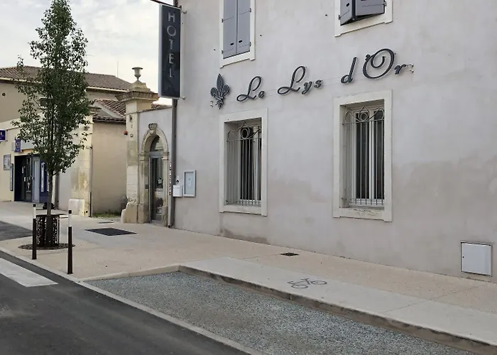 Hotel Le Lys D'or à Vauvert