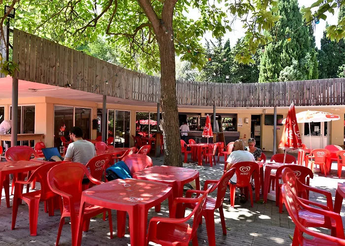 Camping Du Pont D'Avignon