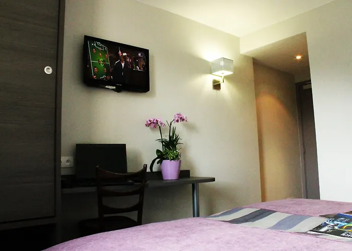 Hotel Des Rosiers Lourdes
