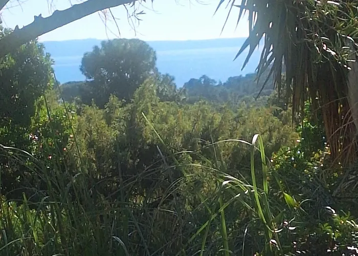 Massacan-Vue Mer Le Lavandou