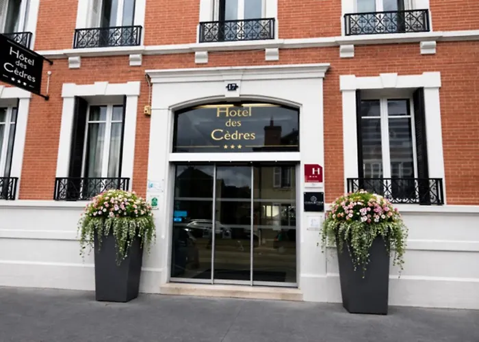 Urban Style Hotel Des Cedres Orléans