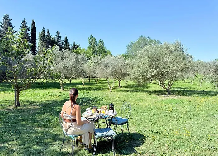 Bed and Breakfast Domaine Au Coeur des Alpilles à Maussane-les-Alpilles