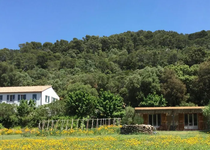Hotel Le Manoir de Port-Cros