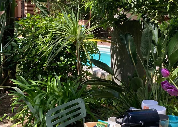 Bed and Breakfast La Vagabonde Saint-Tropez