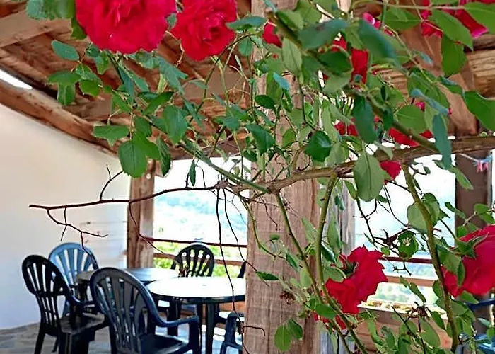 Les Plantiers Hotels