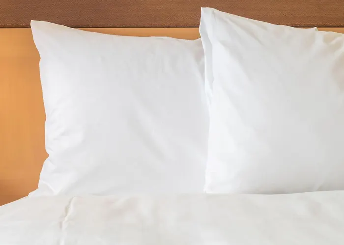 Blagnac Hotels