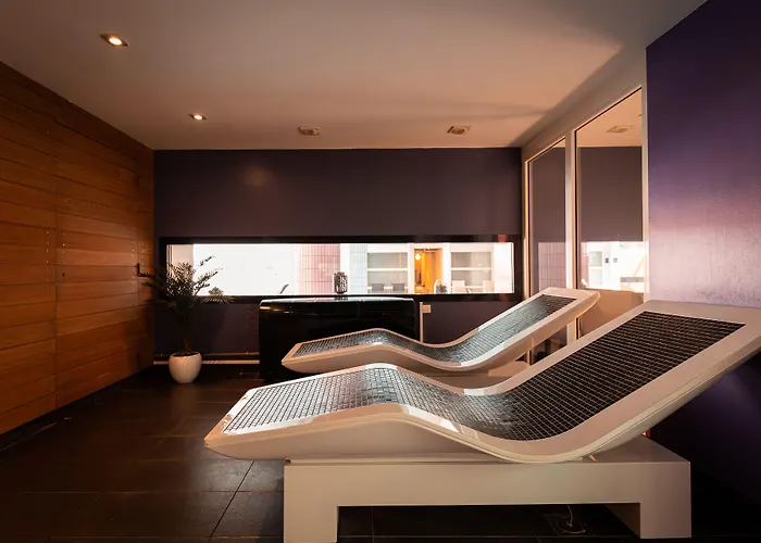 Hotel Diana Restaurant & Spa By Happyculture Molsheim
